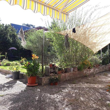Ferienwohnung Lerchennest Georgensgmund Esterno foto