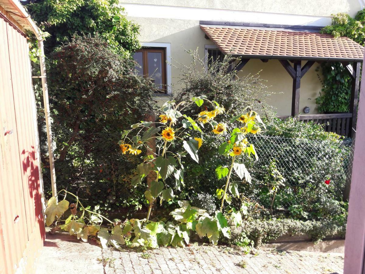 Ferienwohnung Lerchennest Georgensgmund Esterno foto