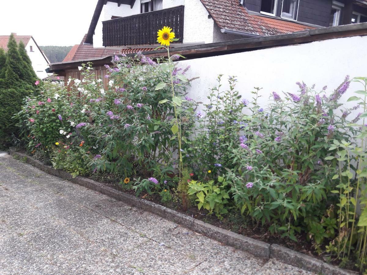 Ferienwohnung Lerchennest Georgensgmund Esterno foto